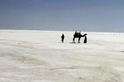 The secrets of the Rann of Kutch, revealed