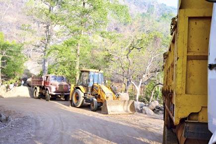 Tungareshwar Wildlife Sanctuary: No action against illegal construction yet