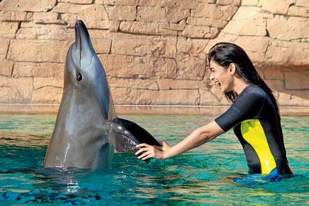 Sonal Chauhan swims with the dolphins