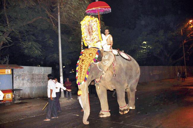 Lakshmi, the elephant, has been seen within the city limits. In January, Lakshmi was seen being used for a religious procession in Powai. File pic