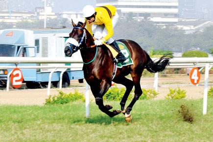 Murioi tipped for Indian Derby