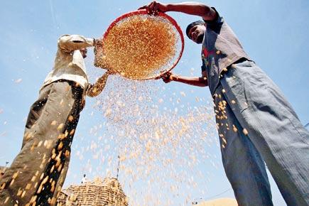 Bogus beneficiaries eat into food security scheme