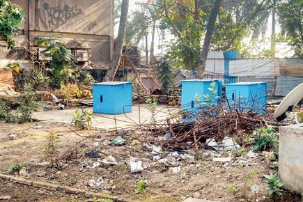 Two years, Rs 156 crore and a garden in disarray 
