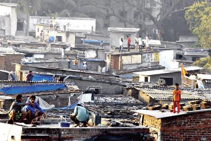Congress MPs slam inactive slum board