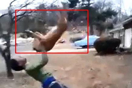 Animal cruelty: Boy throws dog to the ground