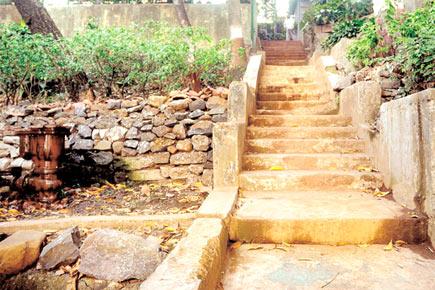BMC spends only 6 per cent of Rs 228 crore allocated to gardens