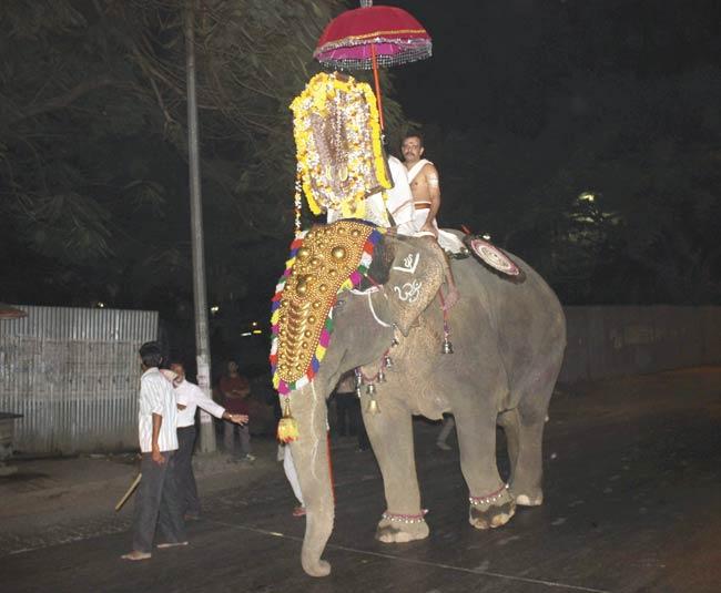 Elephant Lakshmi being used in a religious procession at Powai