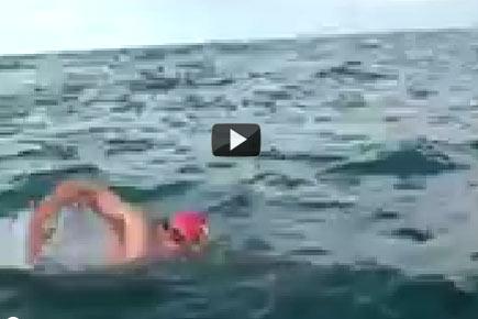 Amazing video! Dolphins save man from shark