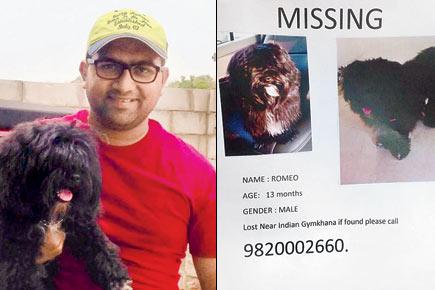 Incredible: 200 posters later, Mumbai man reunited with his missing dog
