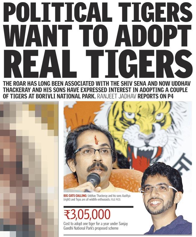 mid-day had reported last year that the Thackerays had shown keenness in adopting tigers at SGNP, but had failed to receive consent. File pic