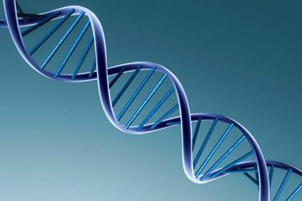 DNA similarities help choose friends