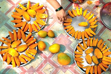 Travel special: How mango-mad are you?