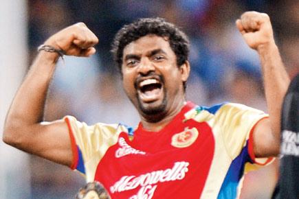 Royal Challengers Bangalore offie Muttiah Muralitharan set to retire from IPL