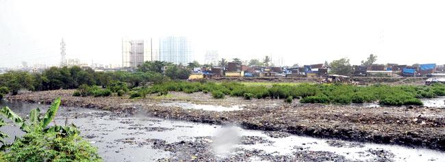The site at Charkop where the Union Ministry of Environment and Forest refused to give MMRDA the permission to construct the car depot. This site falls under CRZ zone. File pic