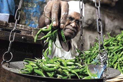 Chilli prices drop by half as Saudi rejects flood Vashi's APMC market
