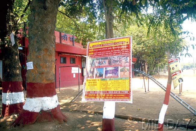 Posters on trees at Shivaji Park. Pic/Satyajit Desai