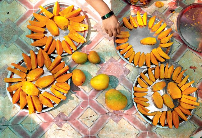 Ratnagiri is famous for its Hapus or Alphonso mangoes. 