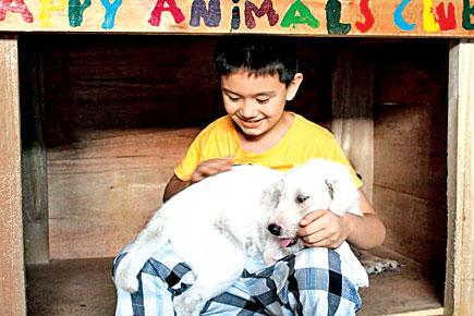 9-yr-old Philippines boy turns garage into shelter for stray animals