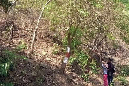 Kids will love the Tungareshwar trail in Vasai