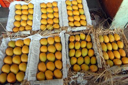India threatens to drag European Union to WTO over mango ban
