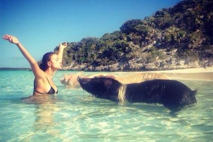 Irina Shayk flaunts bikini bod while swimming with pigs in sea