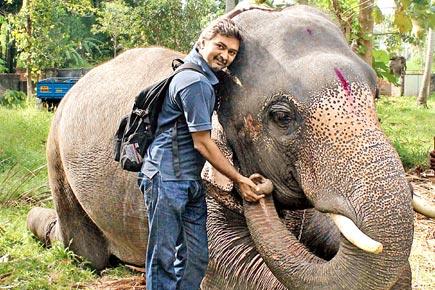 This man has a unique gift: He can talk to elephants!