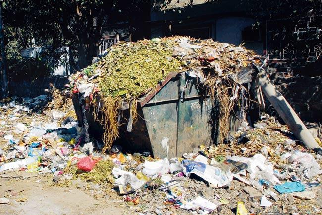 Trash talk: Some of the main reasons for the spread of diseases are uncovered dustbins and improper disposal of garbage