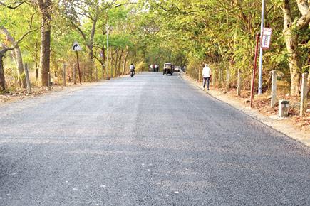 Mumbai: Aarey road 'repaired' for 3rd time in 2 years
