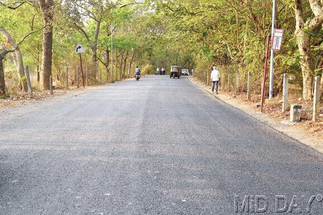 The repaired road at gate no 2 of Aarey Milk Colony. Pic/Prashant Waydande
