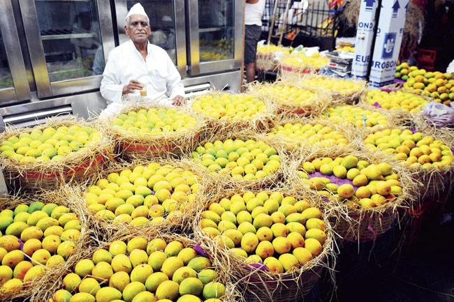 The ban on alphonso mangoes was enforced after fruit flies were found in a few imports from India. Representation pic