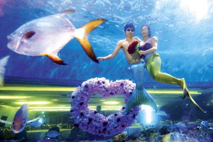 US hotel starts mermaid wedding packages