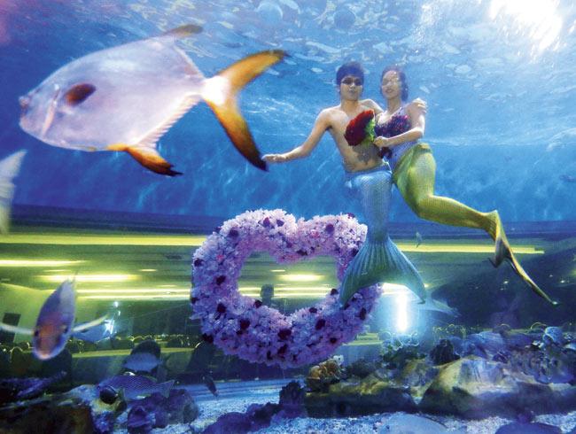 Couples, dressed in full mermaid attire, will be provided with a mermaid officiant who will help guide them through the ceremony. Pic/Imagelibrary/EPA