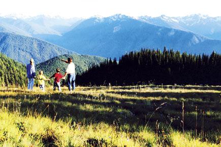 Bizarre: Mother rents mountain to teach child about nature
