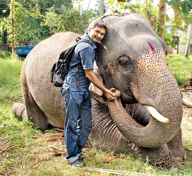 Anand Shinde speaks to elephants and understands their problems. Pic courtesy/Anand Shinde