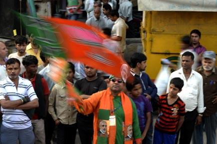Elections 2014: From economic reform to protecting cows, BJP promises it all 