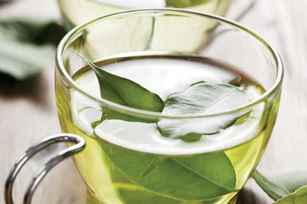 Green tea may ease kidney damage caused by cancer drug: AIIMS study