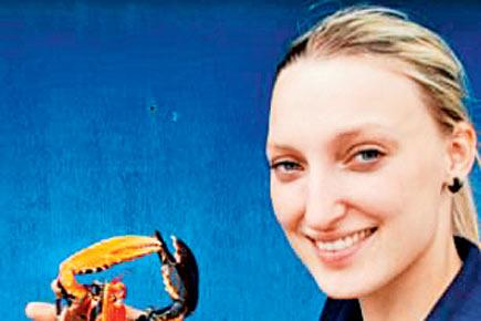 Bizarre: Meet Harley Quinn, a bicoloured lobster