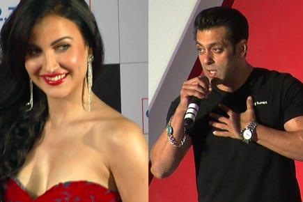 Elli Avaram chooses Madhuri Dixit over Salman Khan