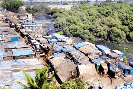 Under collector's nose, encroachment in BKC killing its mangroves