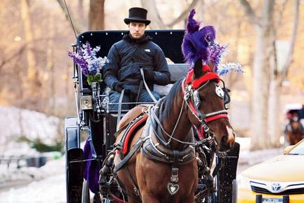 New York wants to drive out horse-drawn carriages