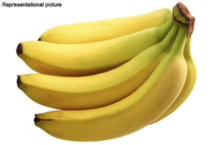 Operation banana! Cops feed thief 36 bananas to retrieve stolen chain