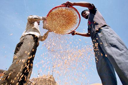 Poll code stalls supply of foodgrains to APL families