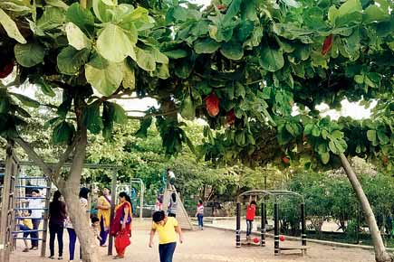 Mumbai for Kids: Mahendra Park is for children of all ages