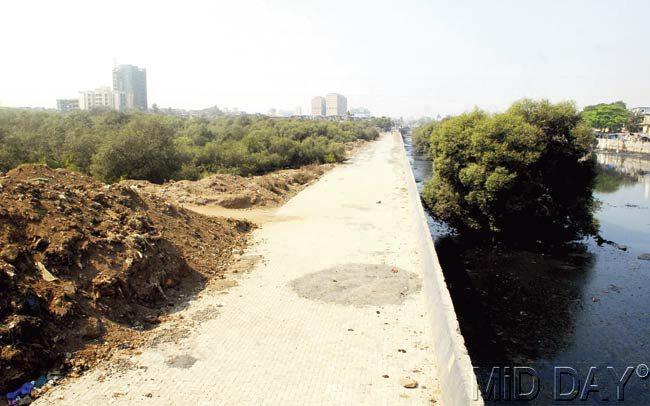 Construction debris is unloaded by trucks near the walkway along the Vakola nullah passing through BKC every day, say locals. It also endangers the mangroves nearby. Pic/Shadab Khan