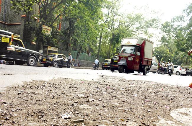 The councillors of the south Mumbai alleged that the firm has asked the road department that the work be carried out under the supervision of the central agency (road department) and not the ward office. file pic