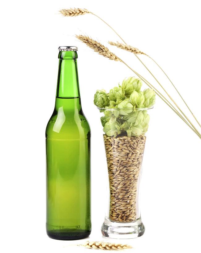 Cheers! Beer brewing leaves can help fix gum disease