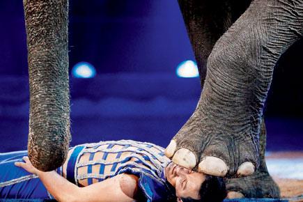 20 kids rescued from Goa circus 