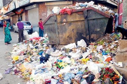 HC raps Pune civic body for poor garbage disposal system