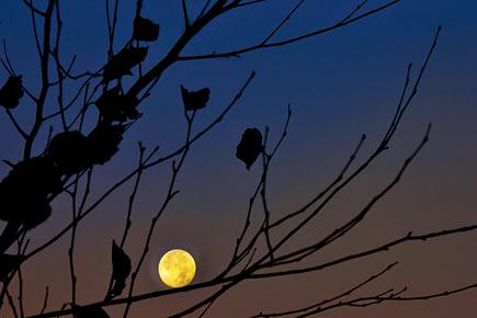 Bizarre! Full moon can turn everyone into lunatics, reveals study