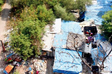 For sale! Rs 50,000 for 10x10 feet shanty on mangrove belt in Versova